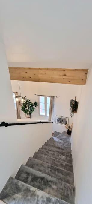 Le Duplex Catherine - Metro - Gare - Wifi Tuluza Zewnętrze zdjęcie